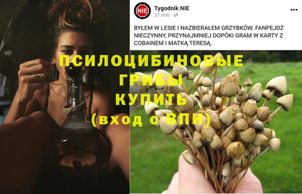 героин Верея