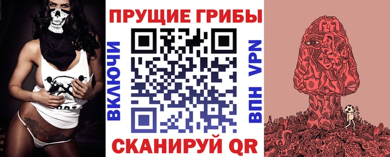Галлюциногенные грибы ЛСД  Карачаевск 